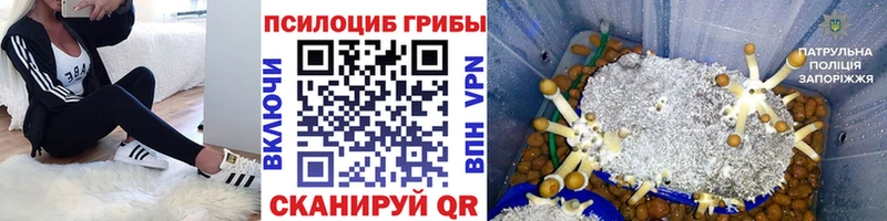 Псилоцибиновые грибы Magic Shrooms  Медногорск 